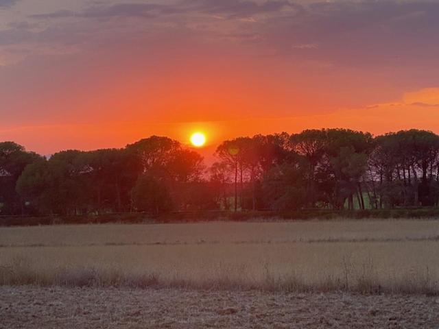 Can Massanet Llagostera Bagian luar foto
